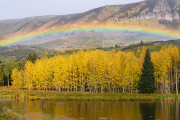 Rainbow and golden aspen in Colorado