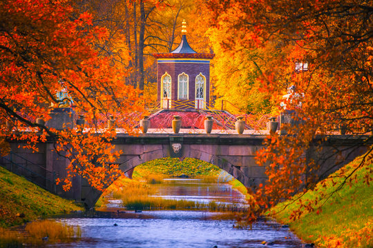 Russia. Autumn. Trees with yellow leaves. Park of Pushkin. Neighborhoods of Petersburg.