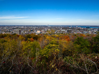 Montreal Mont-Royal View Autumn