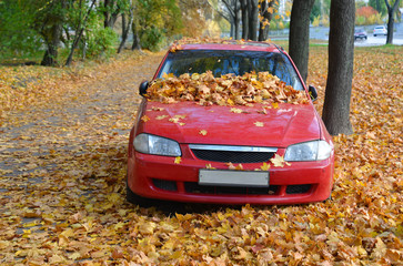 Car in fallen leaves in autumn time.