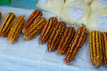 El mercado típico de Gernika