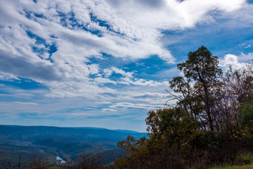Clouds and Trees