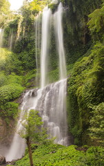 Waterfall of. Bali island. Indonesia.