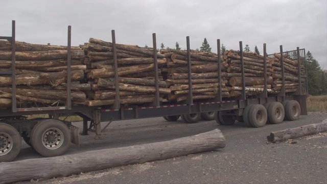 AERIAL CLOSE UP Flying along the timberjack harvester semi truck fully loaded with firewood logs parked on timber yard waiting for lumber transportation. Large woodpile on tractor with logging trailer