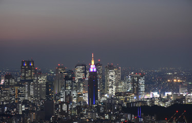 Fototapeta na wymiar 日本の東京都市風景「新宿区などの高層ビル群や街並みを望む」