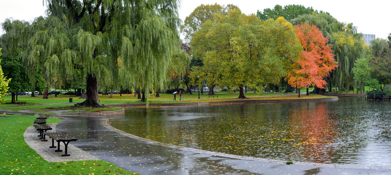 Autumn Rain In The Park