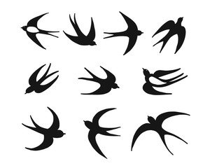 Swallows, sketch for your design