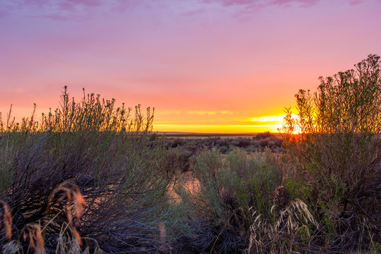 Sunset Sagebrush On The Oregon Trail