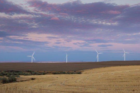 Windmills in a field at sunset