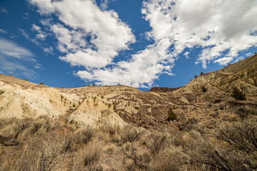 Badlands formations and sagebrush under a desert sky