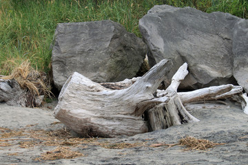A bird flying high above