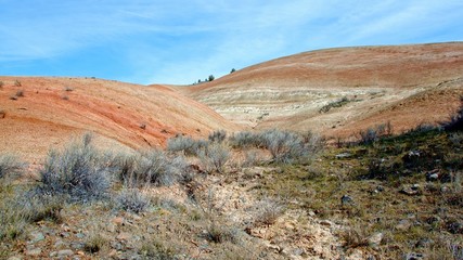 Bright midday painted hills Spring Sutton Mountain John Day Great Basin High Desert Columbia Plateau
