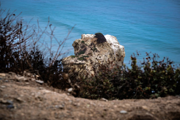 Malibu California El Matador Beach