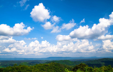 View of green filed with blue sky background,agriculture from north east Thailand.
