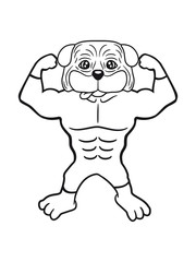 stark muskeln bodybuilder trainieren fitness pumpen posen mops klein dick hund welpe süß niedlich haustier comic cartoon