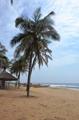 Obraz premium Plage de Mahäbalipuram (Tamil Nadu-Inde)