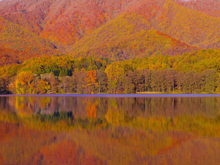 紅葉の裏磐梯曽原湖