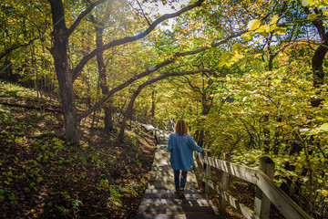 person going down wooden stairway on colorful fall forest path