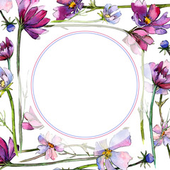 Wildflower aster flower frame in a watercolor style. Full name of the plant: aster. Aquarelle wild flower for background, texture, wrapper pattern, frame or border.
