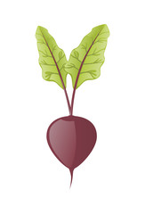 Beet icon in cartoon style. Vector illustration isolated on white background.