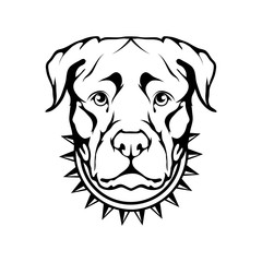 Rottweiler icon.Dog collection