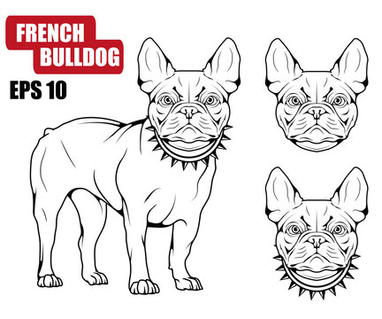 French Bulldog icon.Dog collection