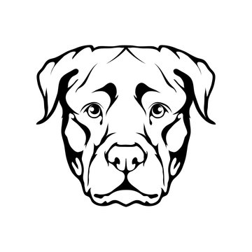 Rottweiler icon.Dog collection