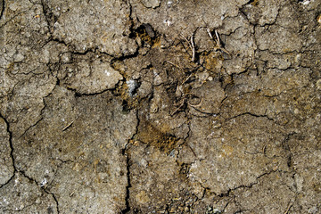 Drought on the earth. Abstract nature background. Dry cracked soil texture background
