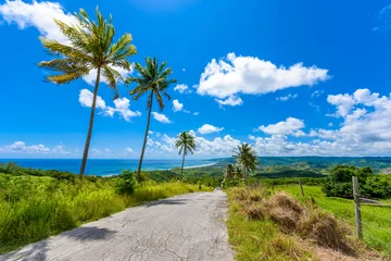 Poster Im Rahmen Blick vom Cherry Tree Hill auf die tropische Küste der Karibikinsel Barbados © Simon Dannhauer