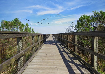 Sightseeing walk near Gainesville Florida