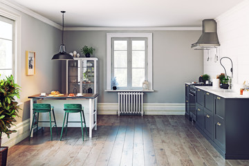 Modern kitchen interior.