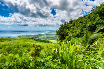 View from Cherry Tree Hill to tropical coast of  caribbean island Barbados