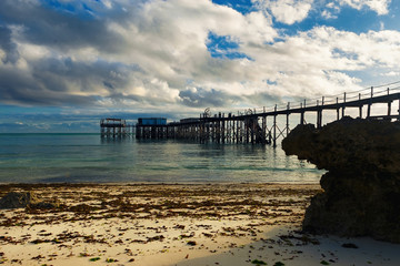 Fototapeta premium Beautiful morning landscape on the Indian ocean coast