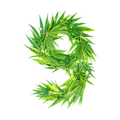 Number nine made from green cannabis leaves on a white background. Isolated