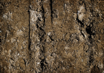 Brown soil texture background. Abstract nature backdrop. Ground with footprints
