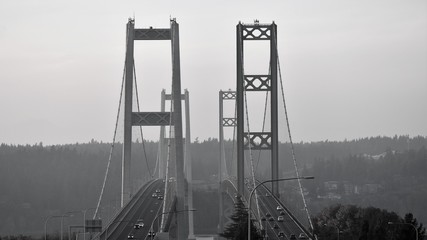 Suspension Bridge in Black and White