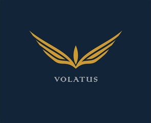 Abstract flower, wings vector logo . Delivery, business, cargo, success, money, deal, contract, team, cooperation symbol icon. Corporate financial sign.