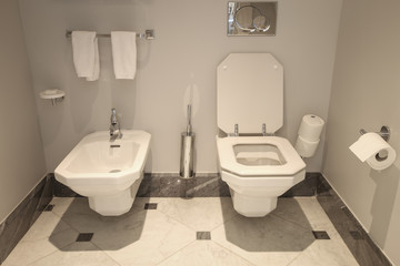  Toilet and bidet in luxury hotel