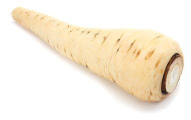 Parsnip isolated on the white background close up