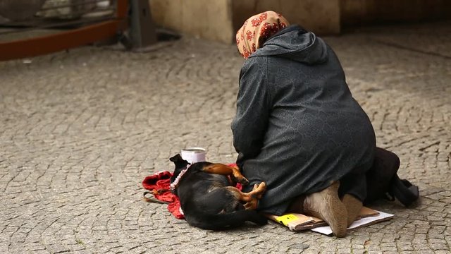A beggar with a dog on the street of a European city