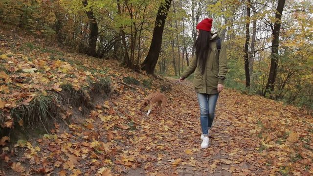 Lovely woman enjoying walk with her dop in forest