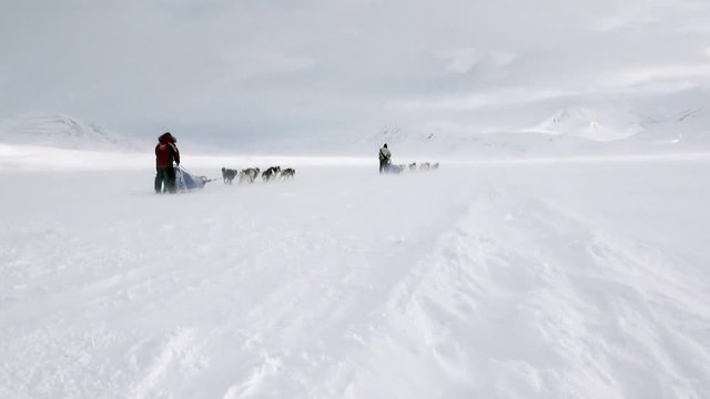 Man riding dog sled team husky Eskimo white snowy road of North Pole in Arctic. Way from airport Longyear to Pyramid on Spitsbergen on background of glacier mountains of Svalbard in Norway.