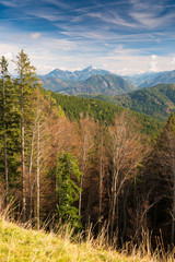 Wendelstein im Herbstkleid, Bayern, Deutschland