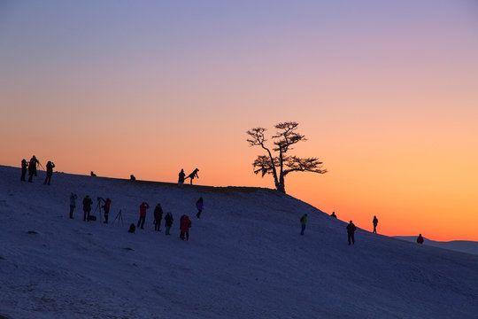 Silhouette of photographers taking picture under big tree in sunset at Lake Baikal, Olkhon island, Siberia in Russia. Winter time © Elena Sistaliuk