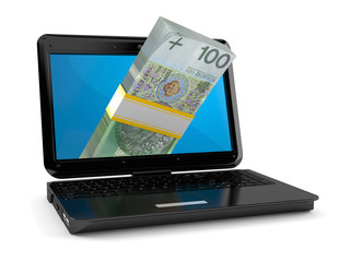 Laptop with polish money