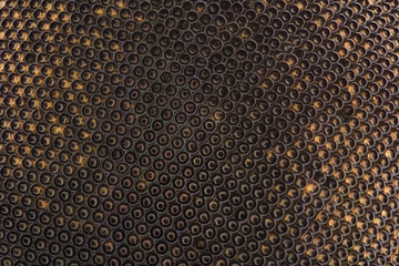 Extreme magnification - Horsefly eye under the microscope