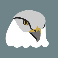 eagle head vector illustration style flat front