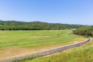 Cricket Games Action Landscape