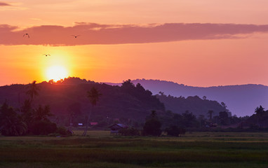 Exotic sunrise in tropical village. Panoramic view. Langkawi island.