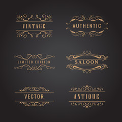 set retro ornaments label luxury vintage logo vector